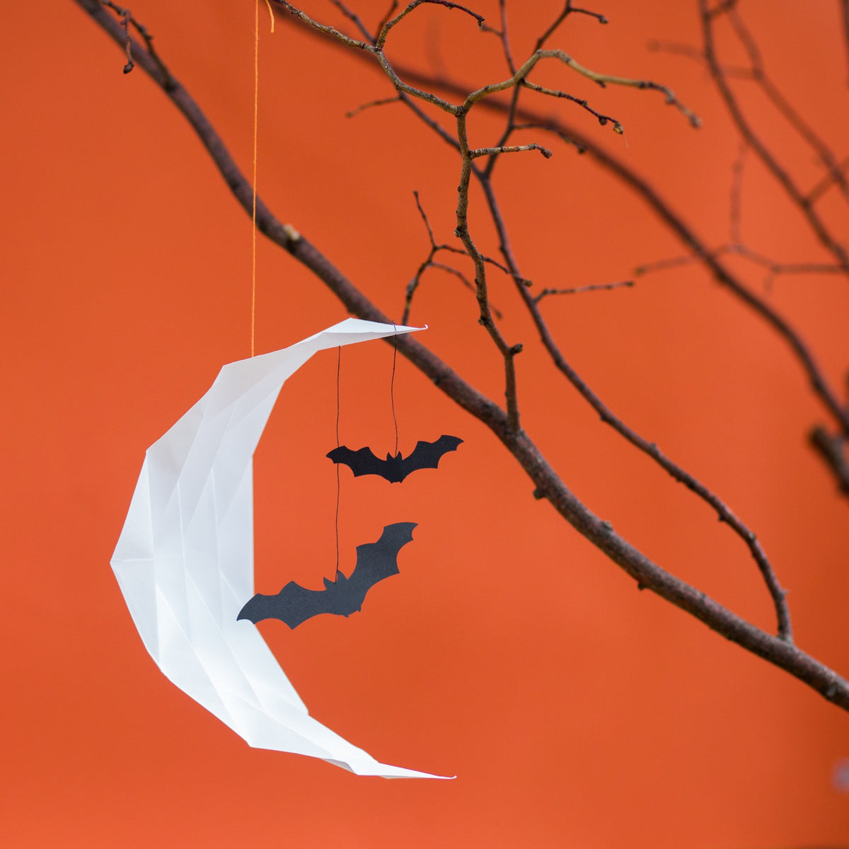 Halloween Course