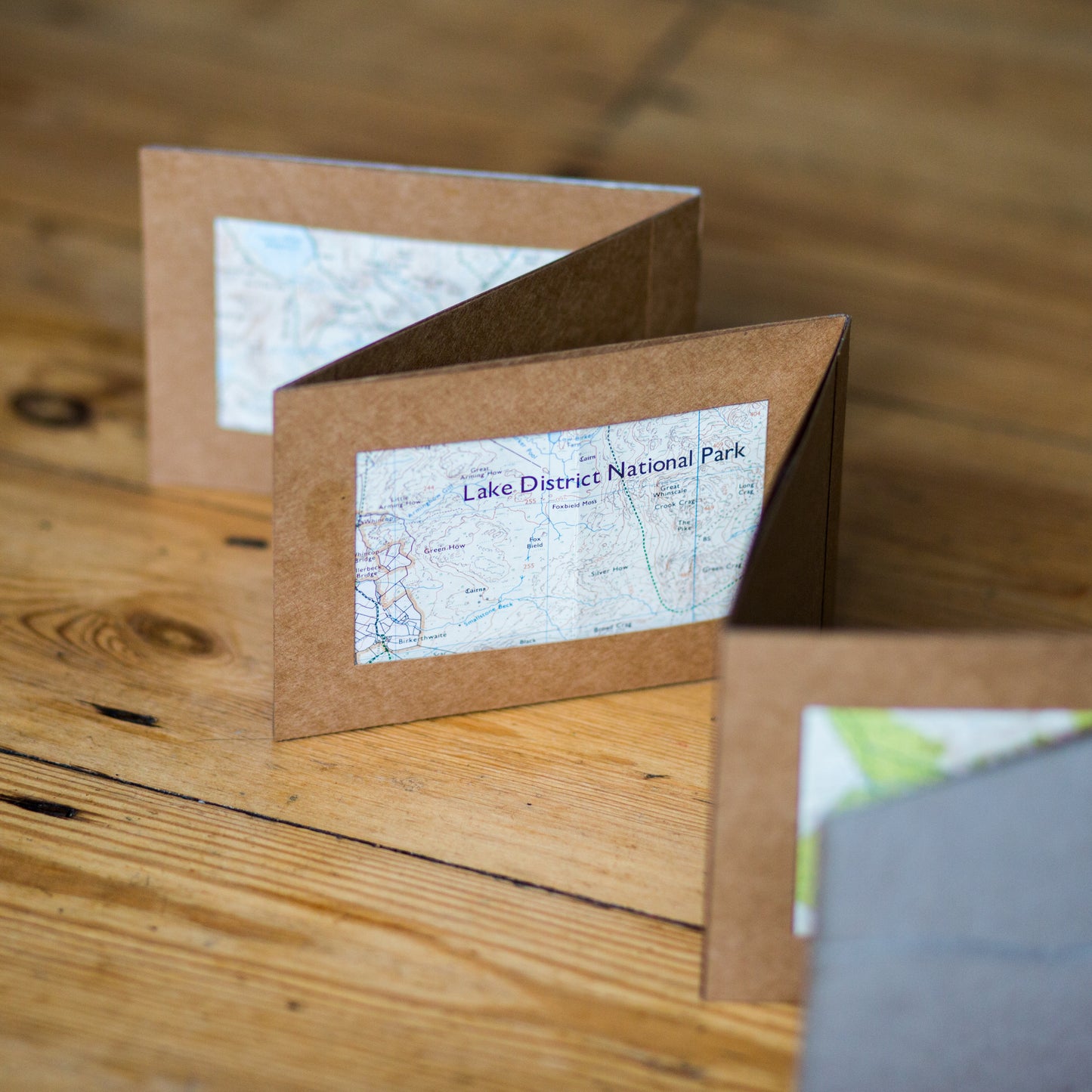Accordion Window Book