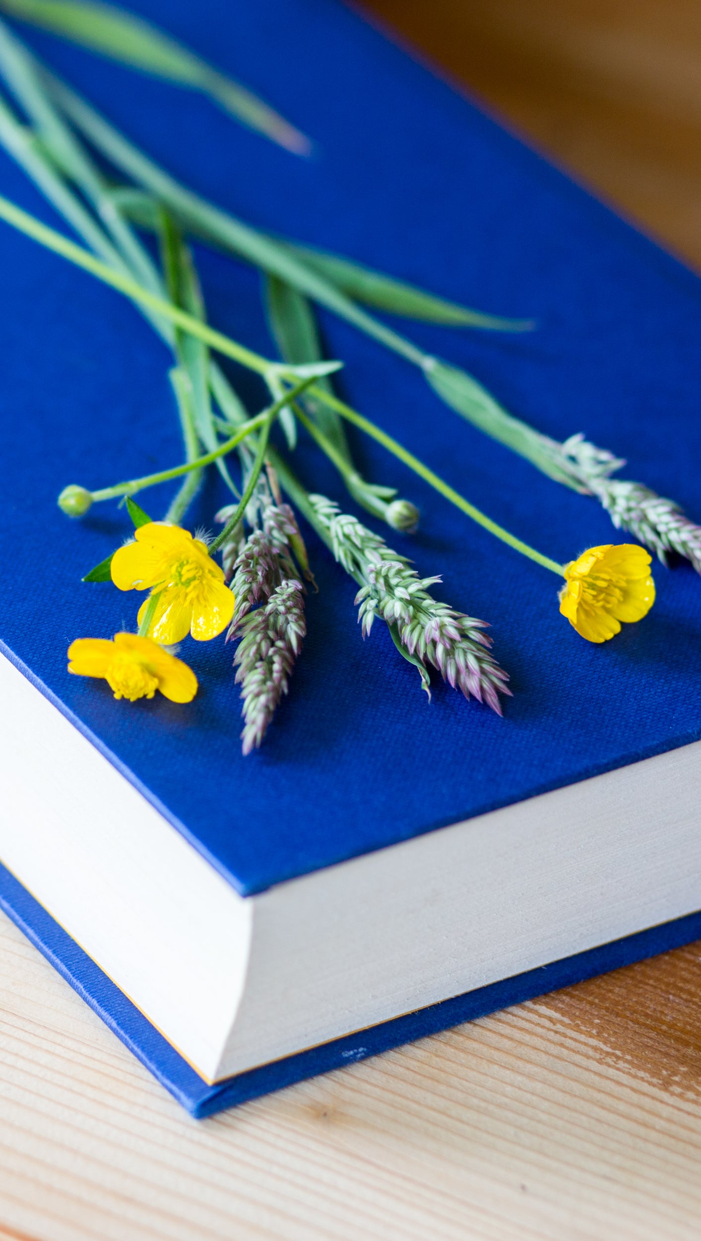 Mini Make: Pressed Flower Crowns