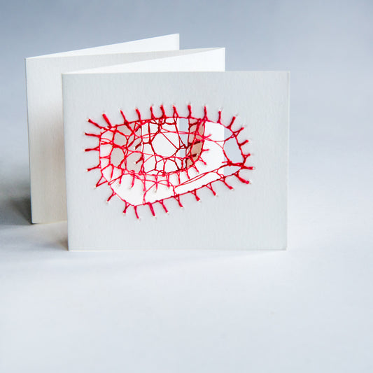 Hedebo Embroidery Tunnel Book