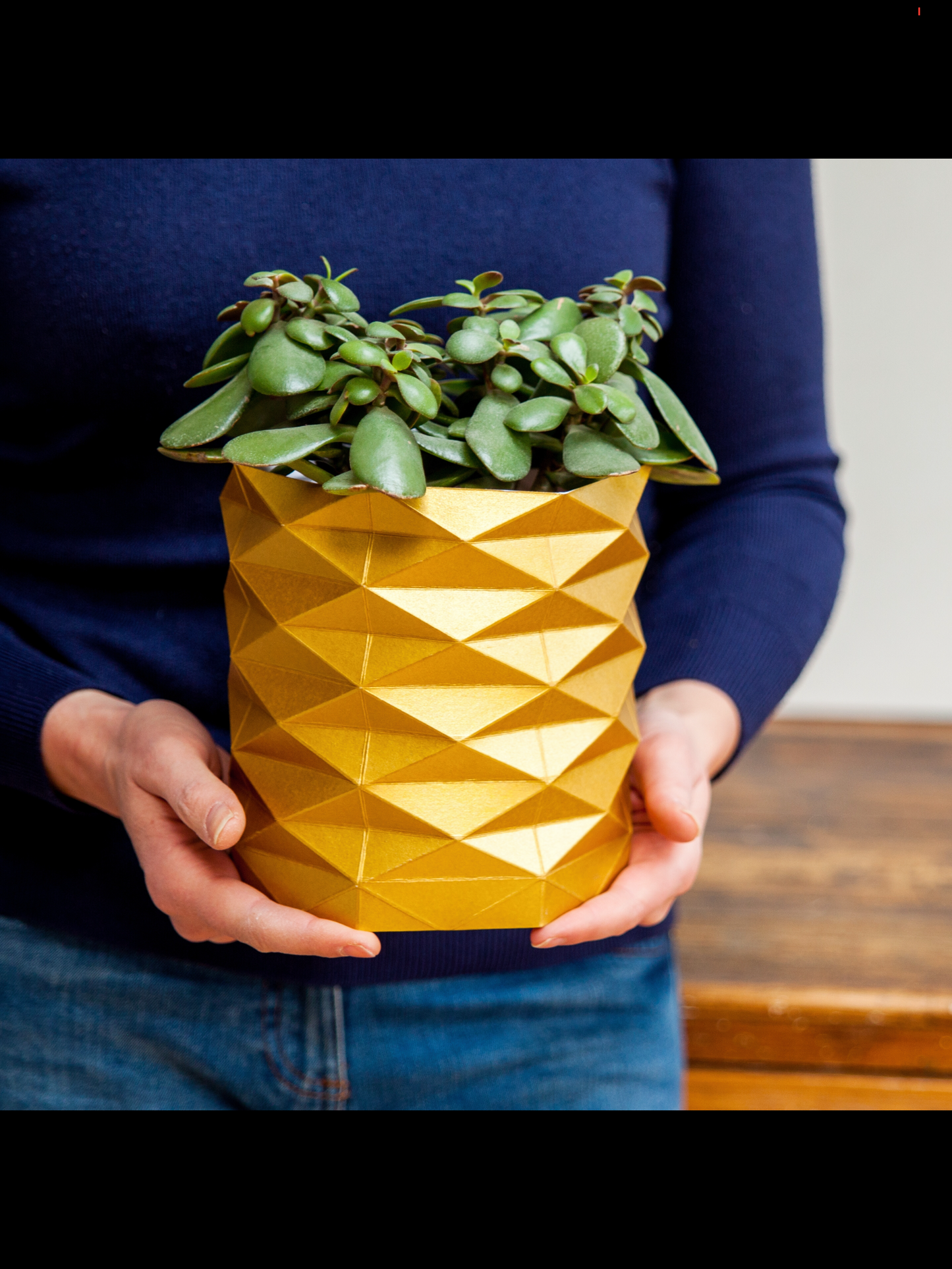 Origami Plant Wrapper
