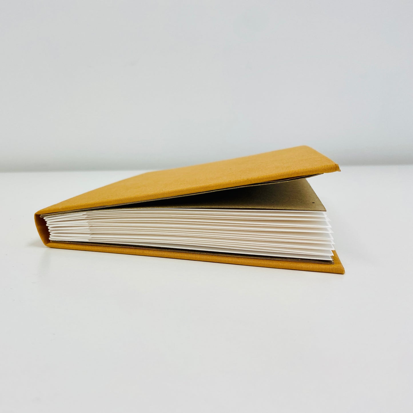 Photo Album Course