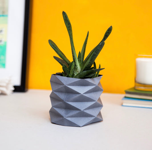 Origami Plant Wrapper