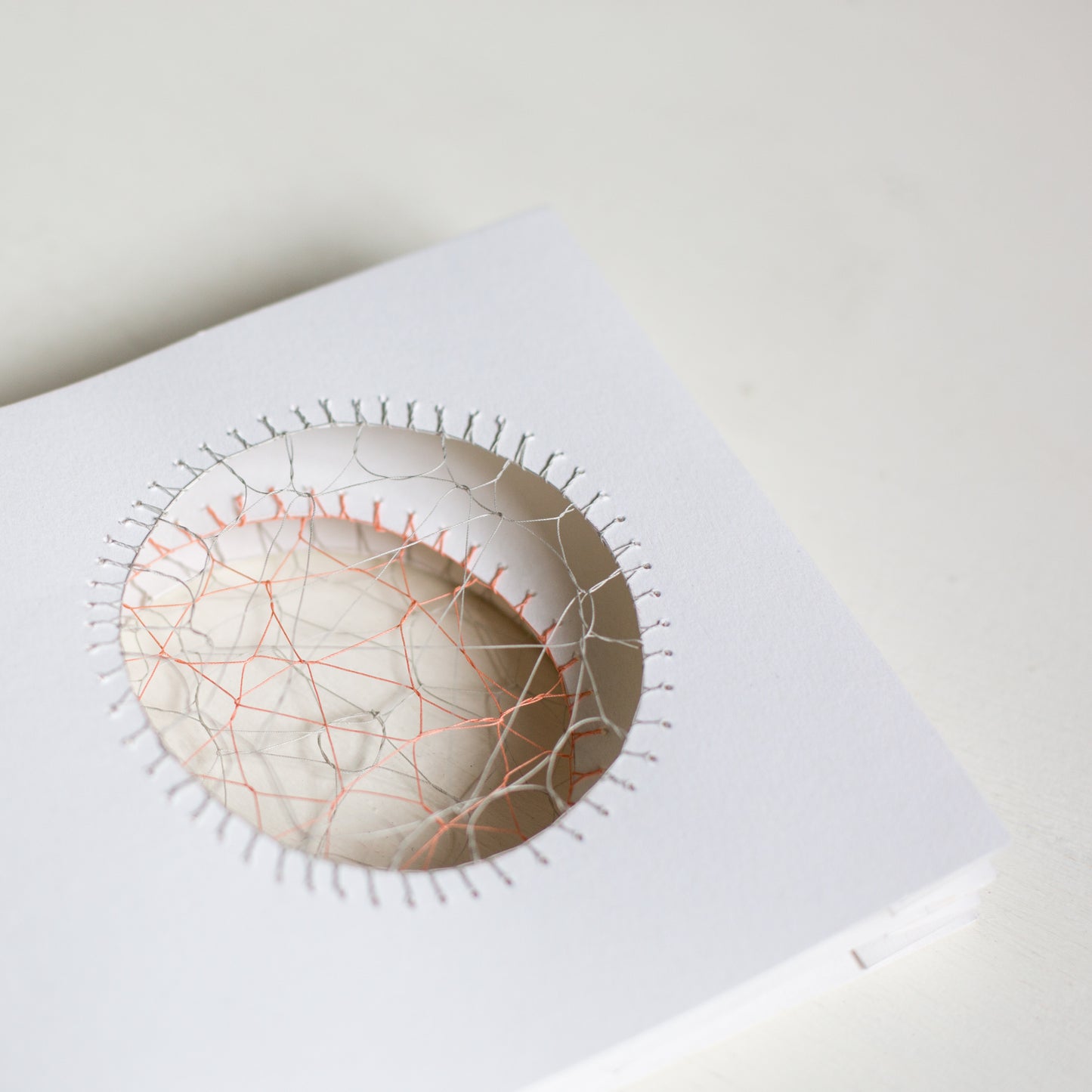 Hedebo Embroidery Tunnel Book