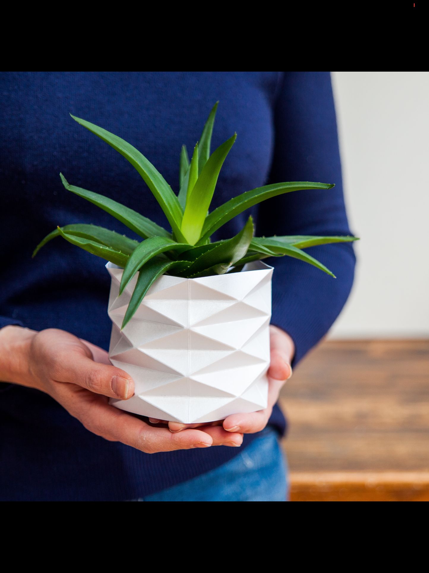 Origami Plant Wrapper