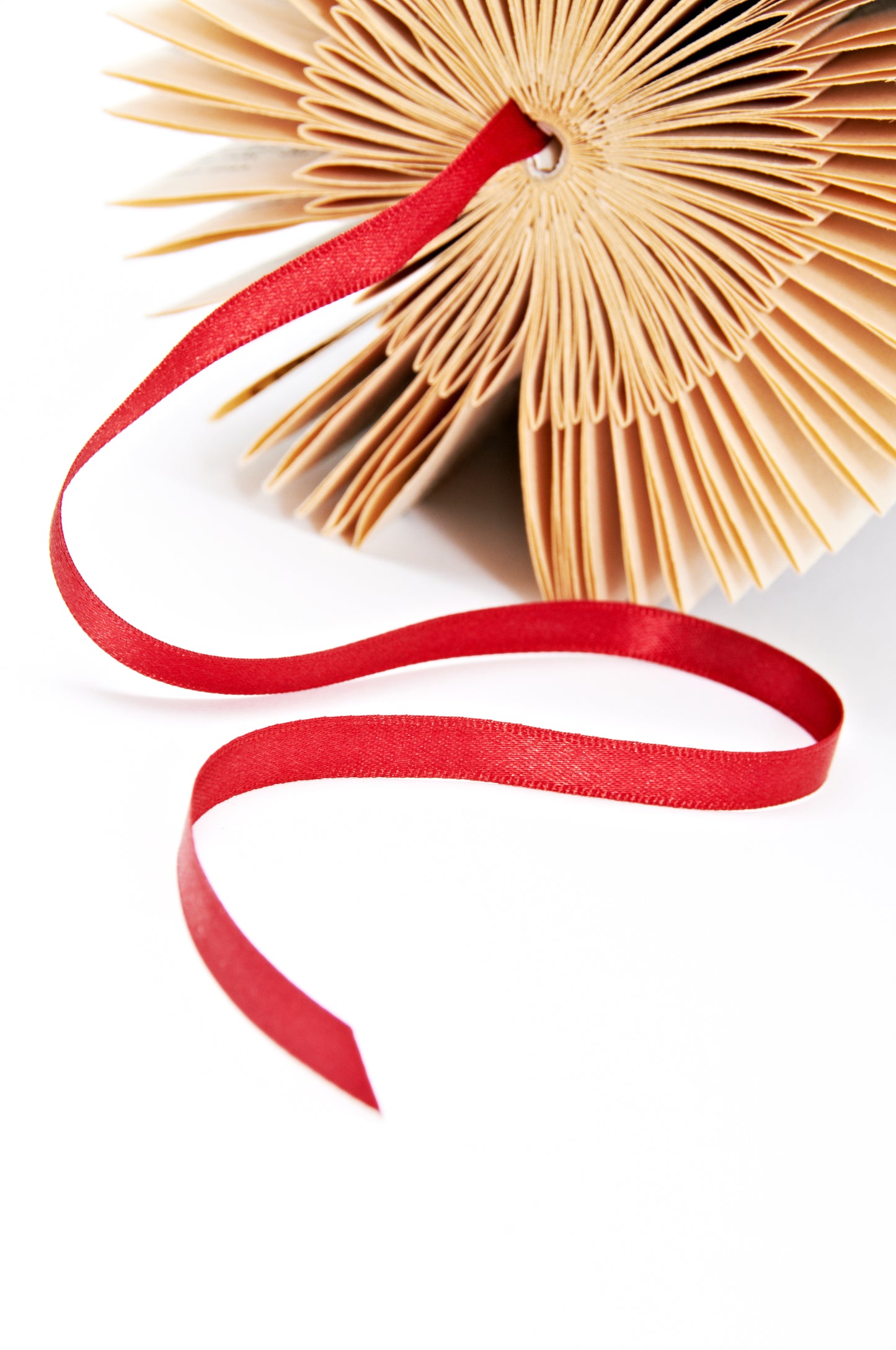 Book Sculpture - Two Fold